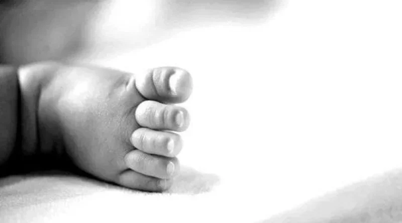 Bayi Ditemukan di Toilet Kereta Sancaka Rute Yogyakarta–Surabaya